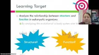 Intro to Animal Systems