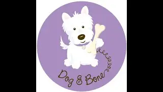 Dog Grooming: Problems with Bichon, Poodle and Doodle coats
