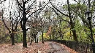 (Fall) City Sounds and Nature Ambience / Study / Sleep Track 8