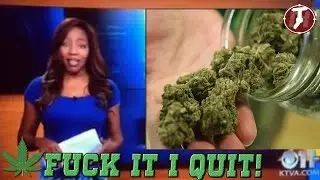Alaska Reporter Quits Over Weed - Charlo Greene canabis club owner KTVA reporter quits on-air