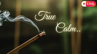 Asian Traditional Ambient Music Live &ndash; Peaceful Sounds for Meditation