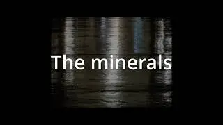 The Minerals &copy; RuniR 2022