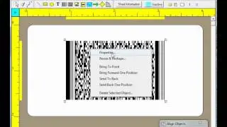 HV08PDF417Barcodes.mp4