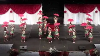 MN Hmong New Year 2014-2015: Starlight
