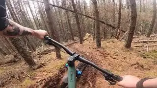 Trails in Glenmore