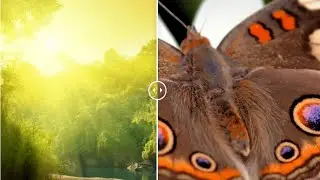 JQuery Image Comparison Plugin | HTML | CSS