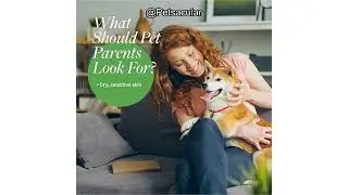 Veterinary Formula Hypoallergenic Shampoo Review: Is It Worth It for Sensitive Pets?