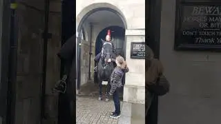 Lovely girls rubbing Royal Guard Horse mouth #shorts #royalguards #horseguardsparade #london
