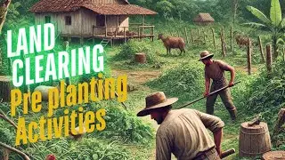 Land Clearing, Pre-planting activities in Nigeria 🇳🇬 : Non-mechanized farming