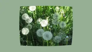 Rock Age Regression Playlist [ Music Box + Rain ]