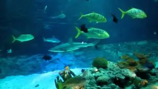 tropenaquarium hagenbecks tierpark hamburg