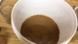 Juniper Berry Wine Recipe Step 1 Processing and Fermentation