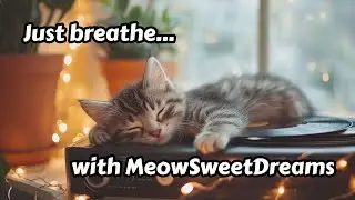🎹😺 Cat Healing Piano Solo | Pure Classical Piano for Cats | Sleep & Relaxation Music