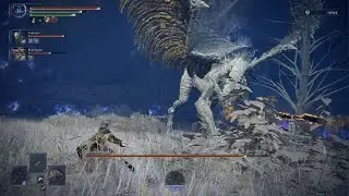 ELDEN RING NIGHTREIGN : Belt to ahhh on the gapping jaw BOSS