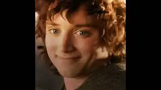 Frodo Baggins || LOTR Edit 🌻🤎 #shorts