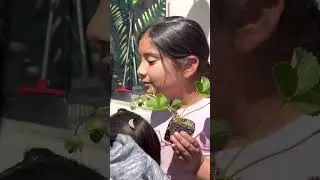 Why Every Fresno School Needs a Garden