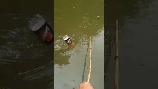 Dasi Fishing Video #fishing #fishingvideo