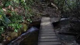 Foothills Trail:  Chimneytop Gap to Table Rock SP