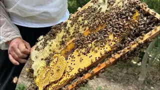 The best raw honey #honey #raw honey