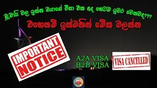 UAE Dubai Visa Change New Restrictions 2024 December | A2A & B2B | Absconding Fine | Sinhala