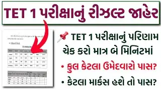 TET 1 Exam Result જાહેર 🔥 | How to Check TET 1 Result 2025 | TET પરીક્ષામાં કેટલા ઉમેદવારો પાસ થયા?