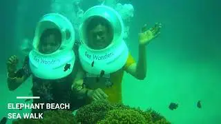 SEA WALK AT ELEPHANT BEACH, HAVELOCK, ANDAMAN