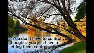 Free Your Mind! #shorts #anxietyrelief #mindfreedom #positivemindset