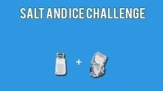 salt&ice results