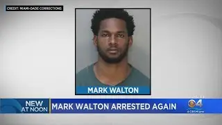 Former Dolphin, UM Football Player Mark Walton Arrested