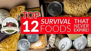 12 FOODS To STOCKPILE That NEVER Expire!
