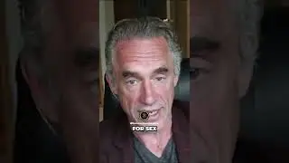Impact of Gender Segregation at Work #shorts #jordanpeterson