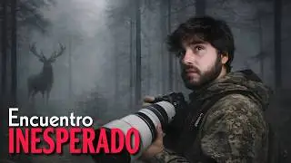 Los Mejores Momentos son los que no nos Esperamos