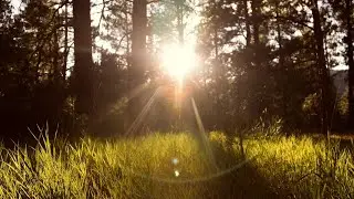 Relaxing Study Music - Music To Help You Study And Memorize - Study Music for Concentration & Memory