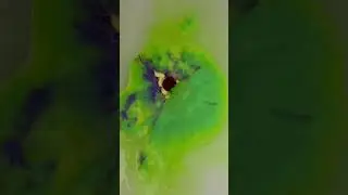 @LUSH x Ninja Turtles Bath Bomb. #NeonGreen #PizzaSlice #NinjaTurtles #Lush #BathBomb 🍕