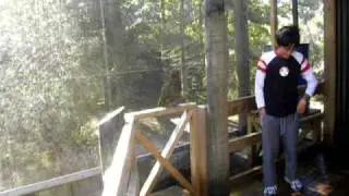 NZ bird - Orana wild park