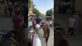 DESERT RIDE BEHIND THE PYRAMIDS  #travel #horse  #tourist #desert #pyramid