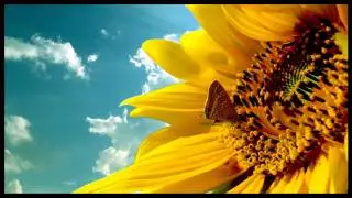 Moonbeam - When Flowers Talk
