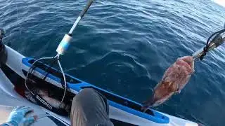 Snapper fishing the GC close reefs.