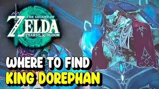 Zelda Tears of the Kingdom KING DOREPHAN LOCATION (Clues to the Sky Main Quest)