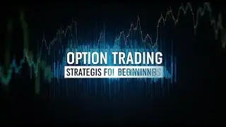Profitable Option Strategy | Trading Robot to make Money Online