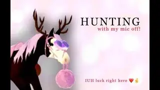 IUH hunting with my MIC OFF | IUH luck stream + vibing