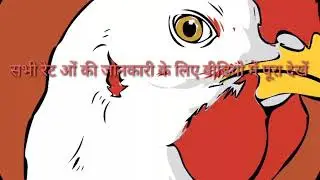 मुर्गा रेट फीड रेट अंडा रेट