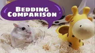 Hamster Bedding Comparison.