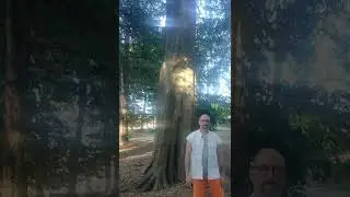 Tai Chi chuan Yang style sifu Stefano Bernacchi Free moving internal arts