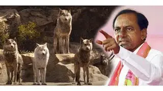 KCR vs Mahakutami during Telangana elections 2018