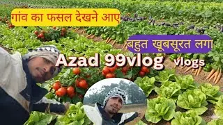 गांव का फसल देखनेआए gaon mein  fasal dekhne Aaye #azadvlogs #delivlogs #handivlogsvideo 
