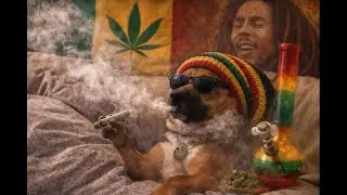 ganja reggae style AI mix  679 - glock in my rari