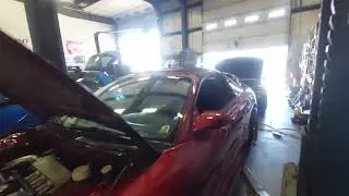 2g dsm fpblack first start up.