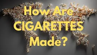 How Are CIGARETTES Made? The Complete Cigarette Manufacturing Process