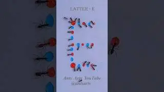 Ants drowning latter E #ants #timelapse